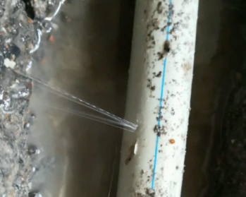扎赉诺尔卫生间测漏水多少钱