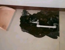扎赉诺尔卫生间测漏水多少钱